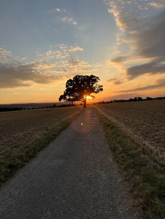 Bild von undefined