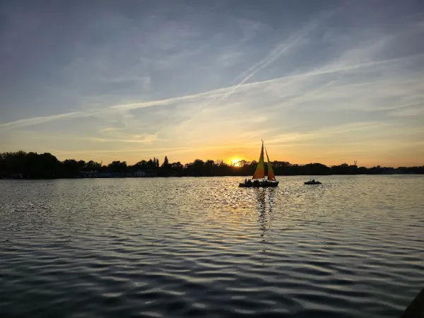 Bild von undefined