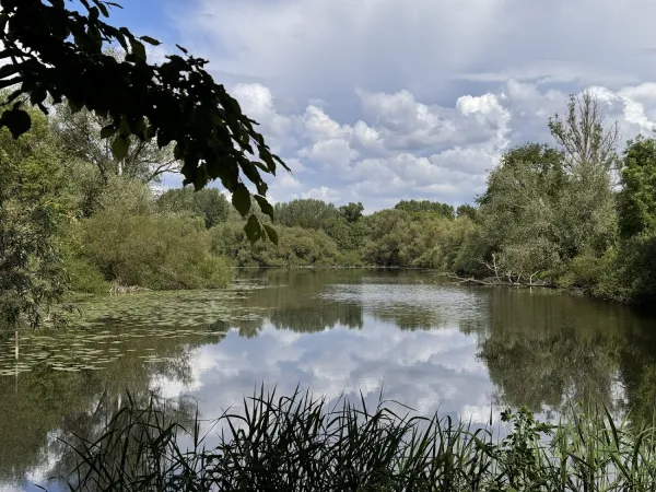Bild von undefined