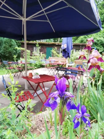 Bild von undefined