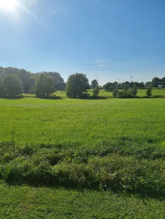 Bild von undefined