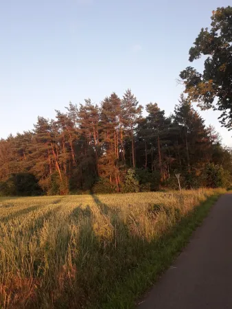 Bild von undefined