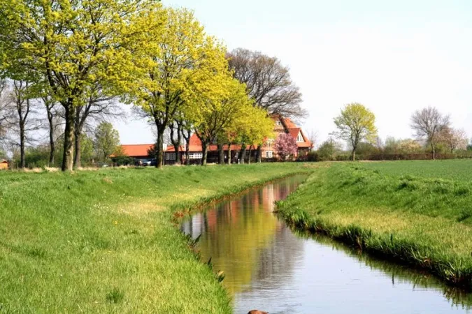 Bild von undefined