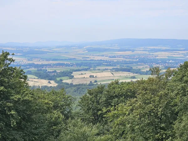 Bild von undefined