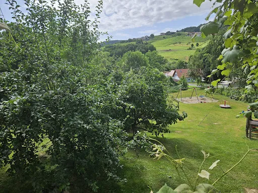 Bild von Weinhof Josef Scharl