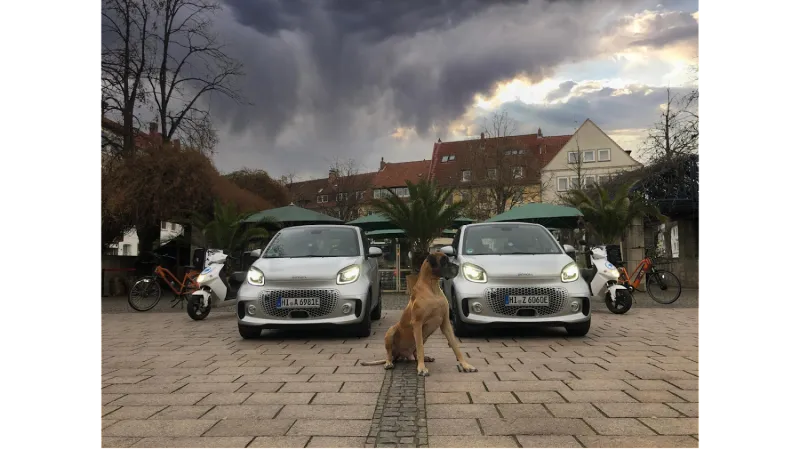 Bild von undefined
