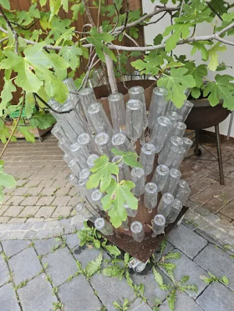 Bild von Weinhof Josef Scharl