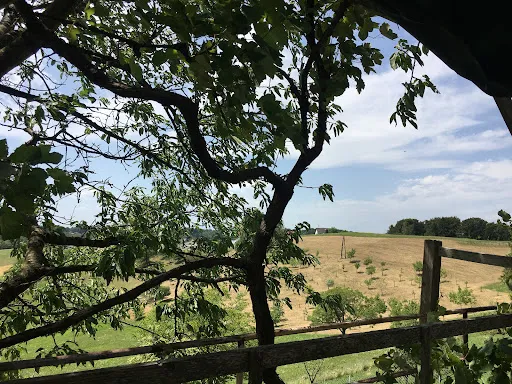 Bild von Landrestaurant Fink