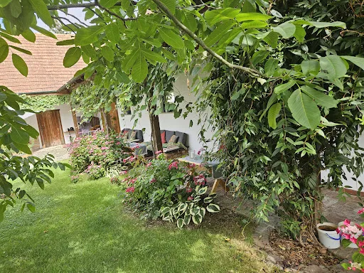 Bild von Weinhof Josef Scharl