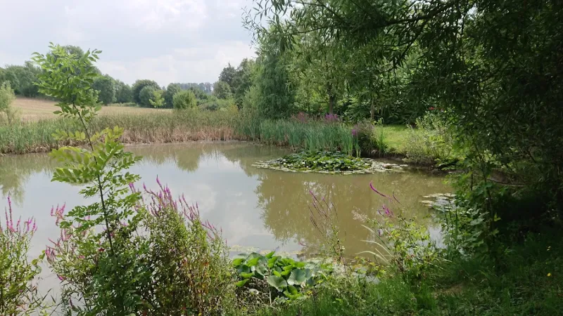 Bild von Christa Schmitz