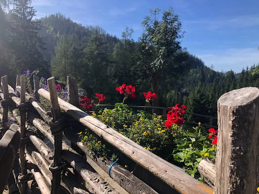 Bild von Jagaalm