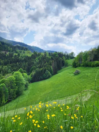 Bild von Jagaalm