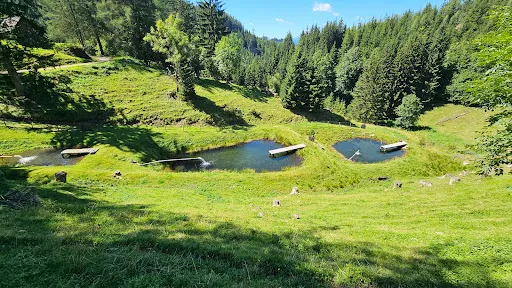 Bild von Jagaalm