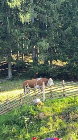 Bild von Jagaalm