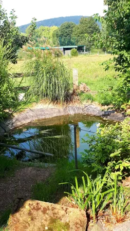 Bild von undefined
