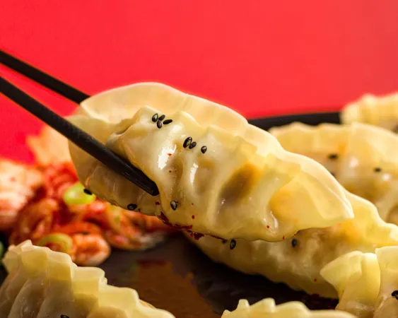 Bild von GoDumpling Nienburg