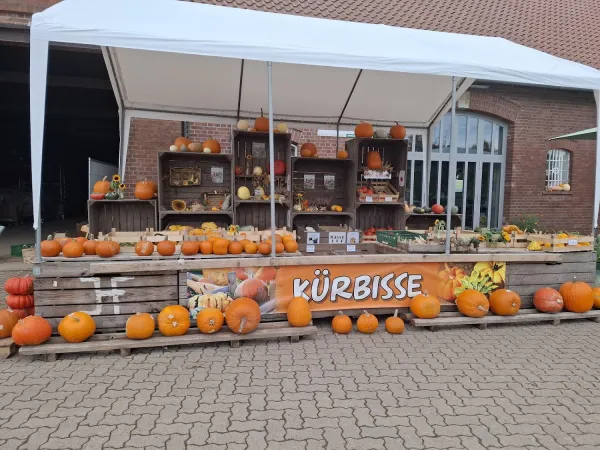 Bild von undefined