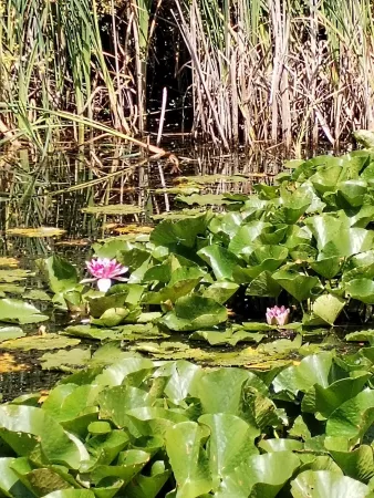 Bild von undefined