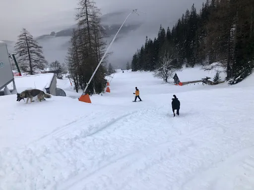 Bild von Pflanzlhütte