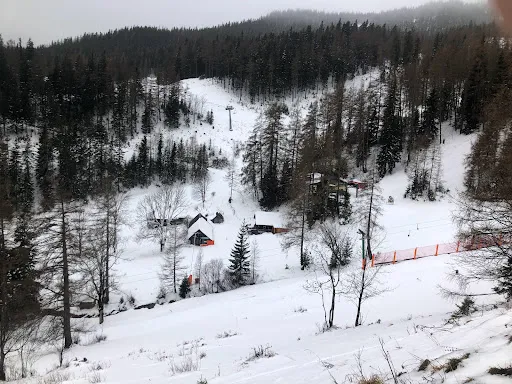 Bild von Pflanzlhütte