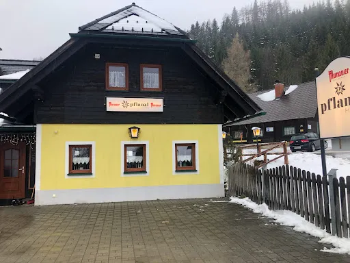 Bild von Pflanzlhütte