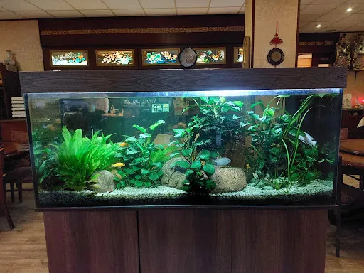 Bild von China-Restaurant Jade