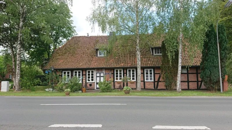 Bild von Manti Mann