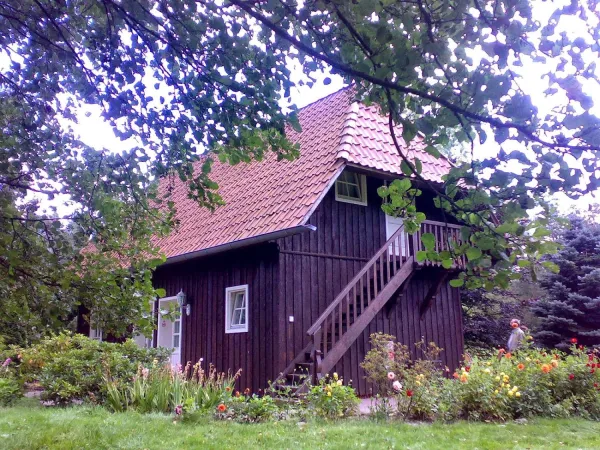 Bild von undefined