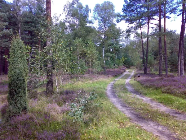 Bild von undefined
