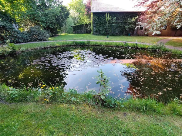 Bild von undefined