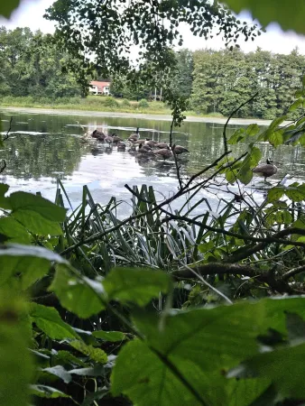Bild von undefined