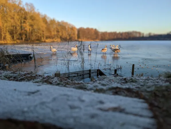 Bild von undefined