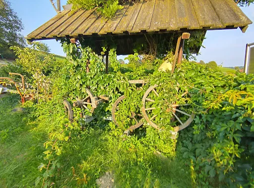 Bild von Weinbau Thurner