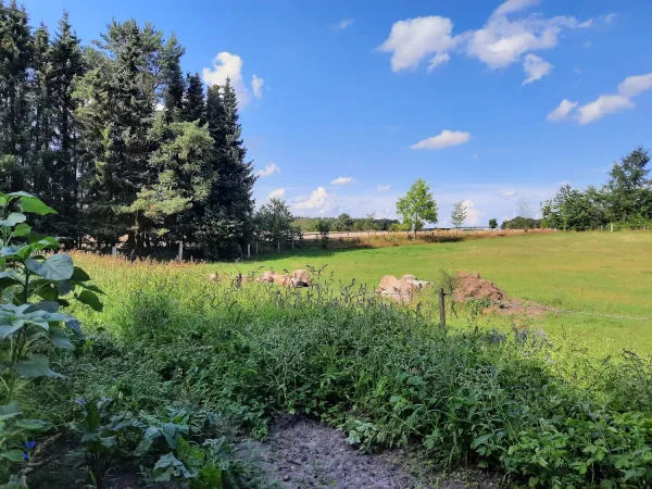 Bild von undefined