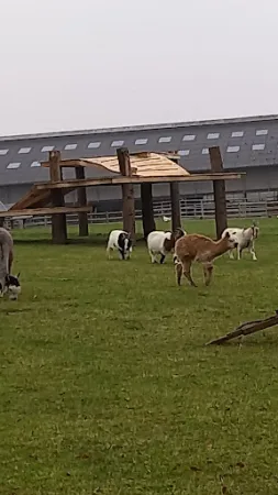 Bild von Zum Dorfkrug Landhof