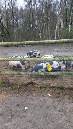 Bild von Zum Dorfkrug Landhof