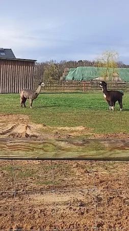 Bild von Zum Dorfkrug Landhof