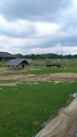 Bild von Zum Dorfkrug Landhof