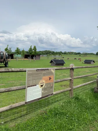 Bild von Zum Dorfkrug Landhof