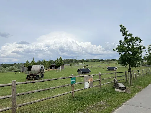 Bild von Zum Dorfkrug Landhof
