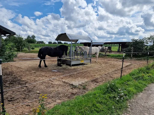 Bild von Hofcafé Wilkenshoff