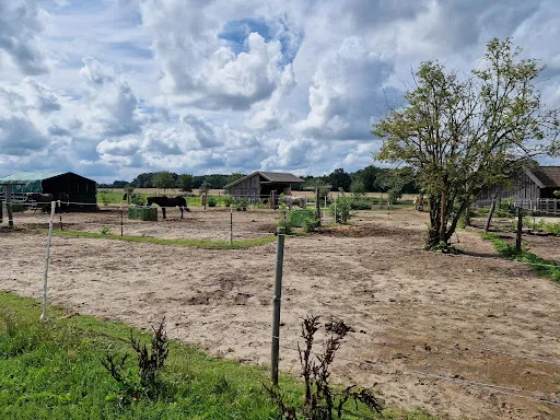 Bild von Hofcafé Wilkenshoff