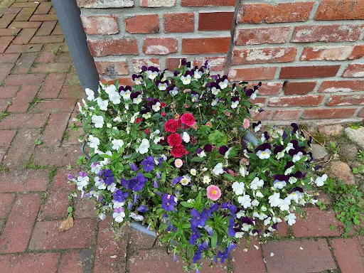 Bild von Hofcafé Wilkenshoff