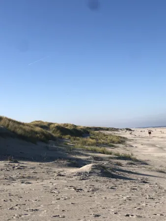 Bild von Domäne Loog