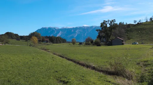 Bild von Klosterwirt Wienhausen