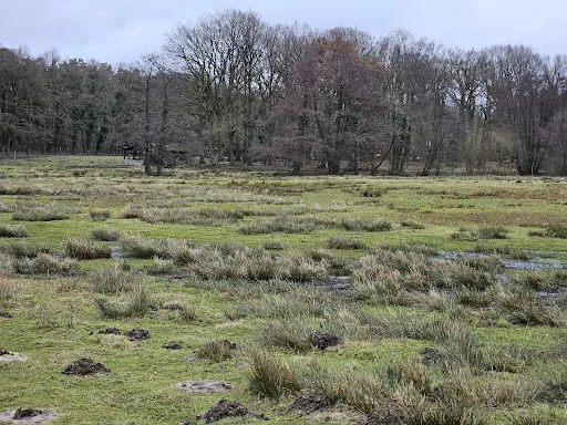 Bild von Appelbeck am See UG (haftungsbeschränkt) & Co. KG