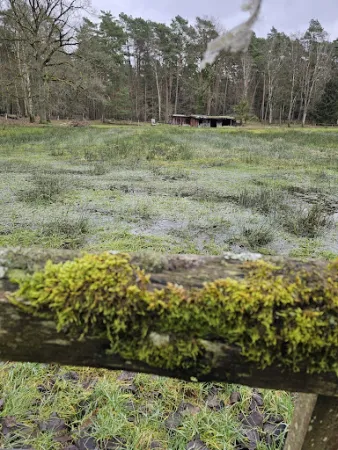 Bild von Appelbeck am See UG (haftungsbeschränkt) & Co. KG