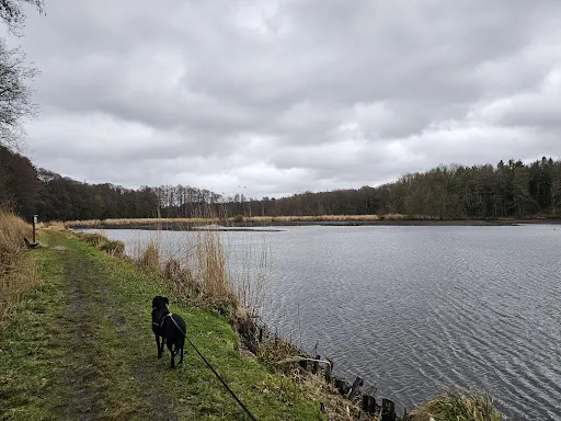 Bild von Appelbeck am See UG (haftungsbeschränkt) & Co. KG