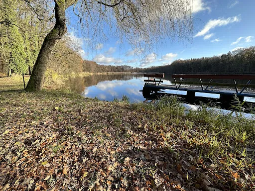 Bild von Appelbeck am See UG (haftungsbeschränkt) & Co. KG