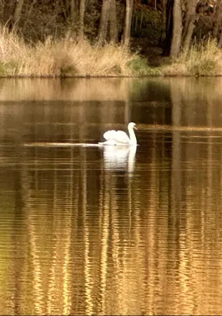 Bild von Appelbeck am See UG (haftungsbeschränkt) & Co. KG